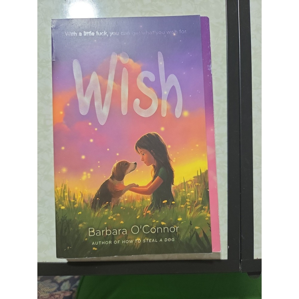 Wish by Barbara O'Connor (2017, Trade Paperback)